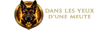 Dans les Yeux d'une Meute